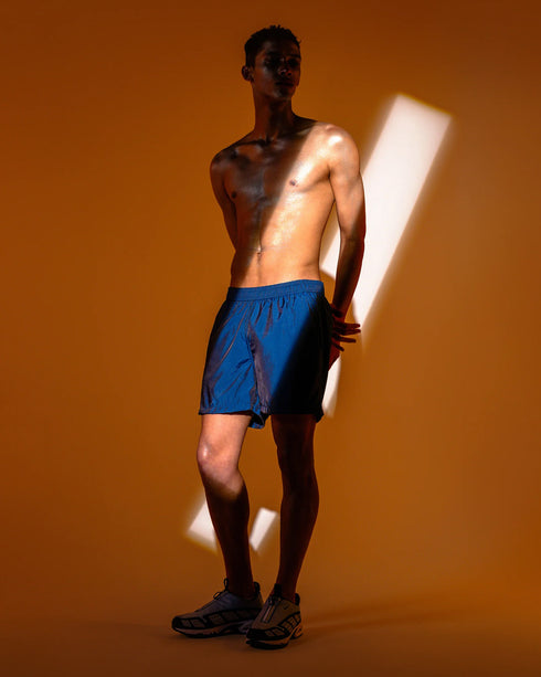 Iridescent Sapphire Modern Trunk