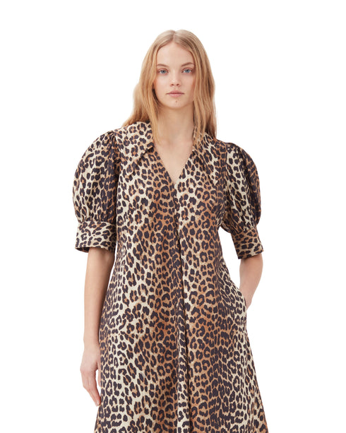 Printed Cotton Poplin V-Neck Dress