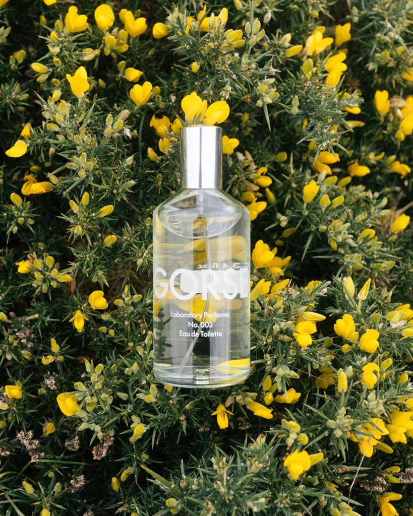 Gorse Eau de Toilette 100ml Laboratory Perfumes WORKSHOP