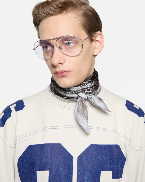 Metal Aviator Glasses