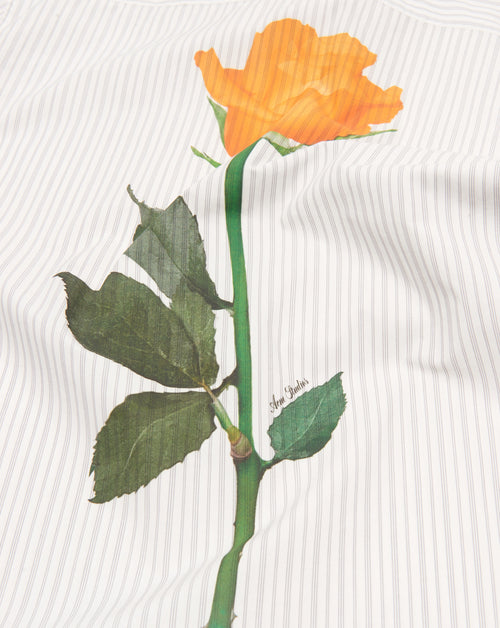 Stripe Midsummer SS Shirt
