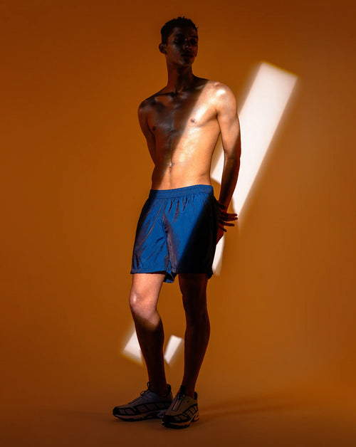 Iridescent Sapphire Modern Trunk