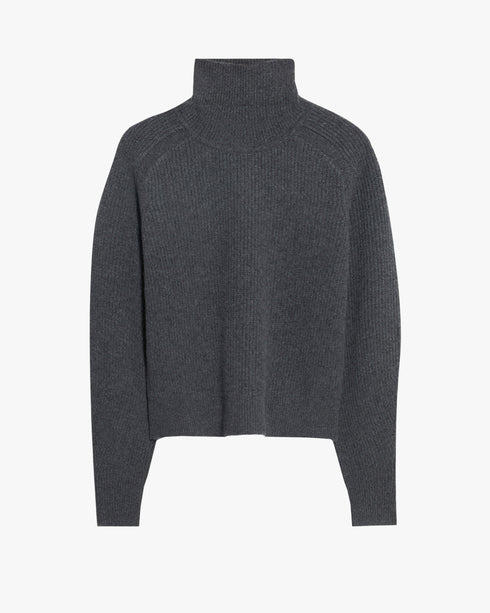 Cropped Rib Turtleneck