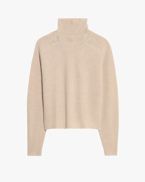 Cropped Rib Turtleneck