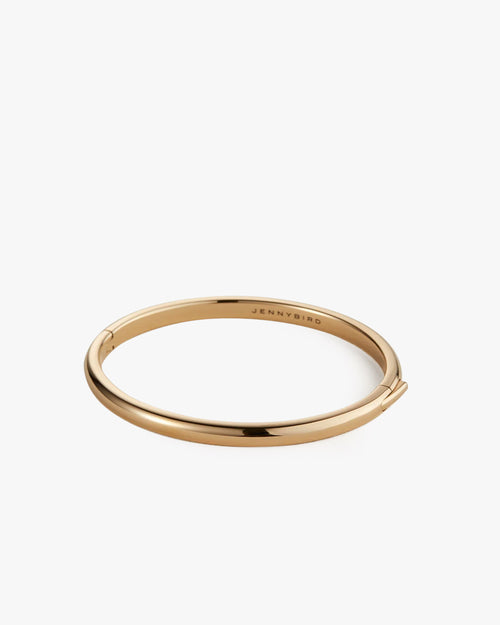 Remi Bangle