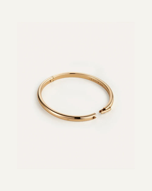 Remi Bangle