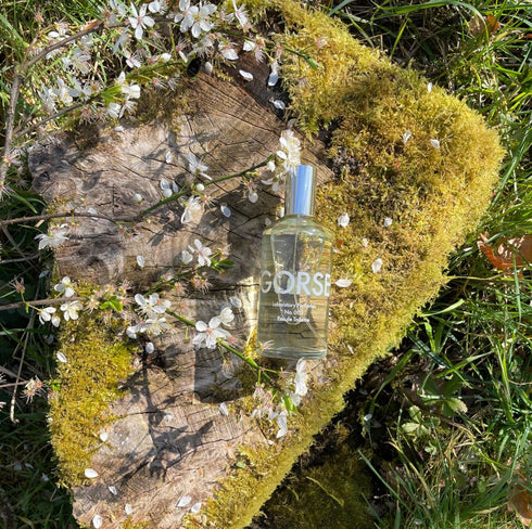 Gorse Eau de Toilette 100ml