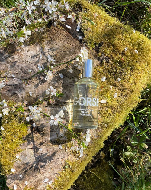 Gorse Eau de Toilette 100ml