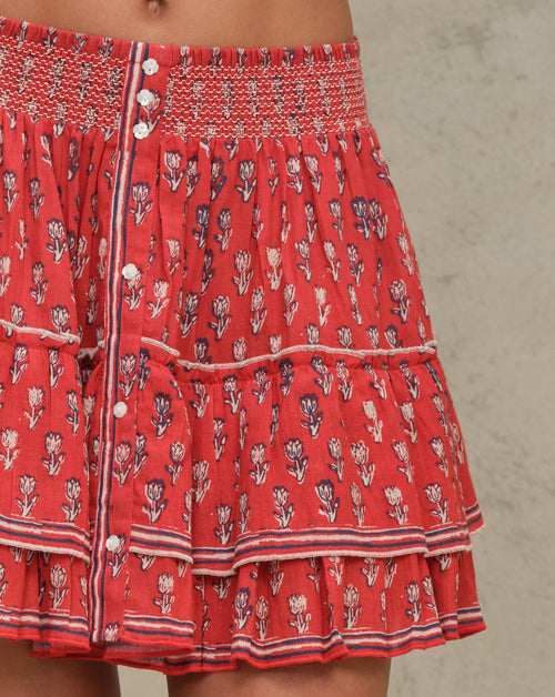 Ari Print Mini Skirt