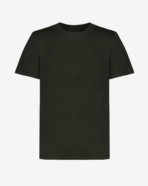 Standard T