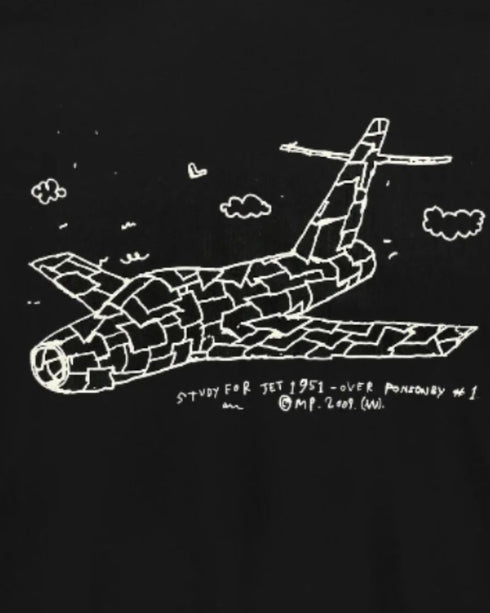 Standard T (Martin Poppelwell MIG 21)