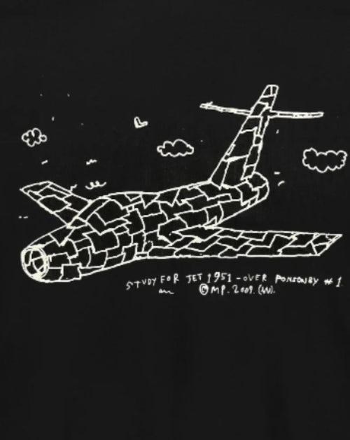 Standard T (Martin Poppelwell MIG 21)