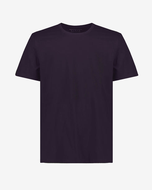 Standard T